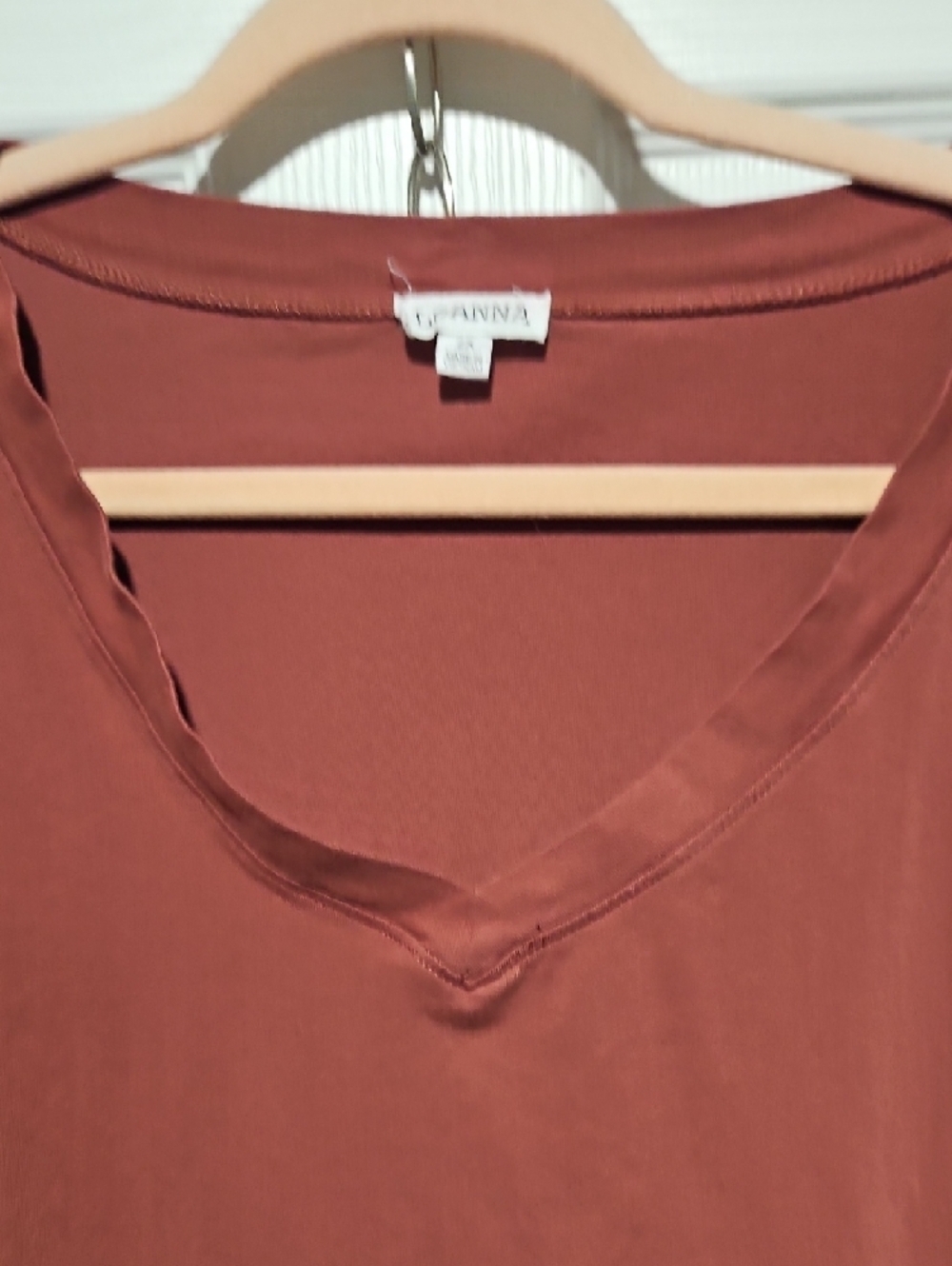 Rust Color Tee - Picture 3 of 3